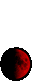 The moon is a First Quarter Moon